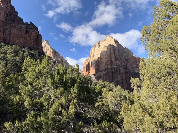 Zion National Park photo 387
