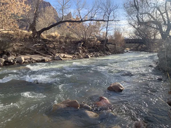 Zion National Park photo 392
