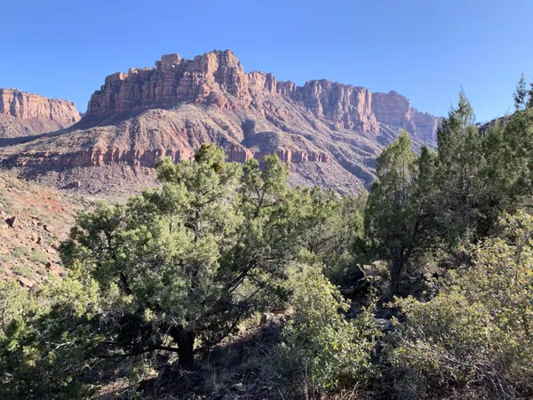 Zion National Park photo 393