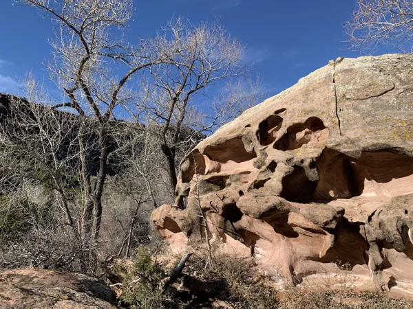 Zion National Park photo 394