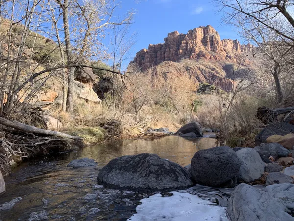 Zion National Park photo 398
