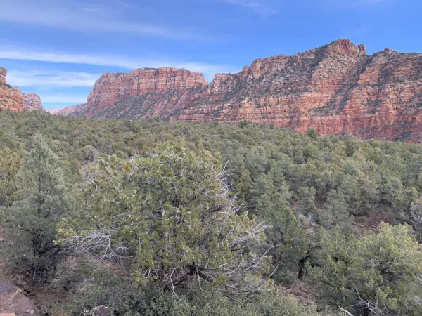 Zion National Park photo 401