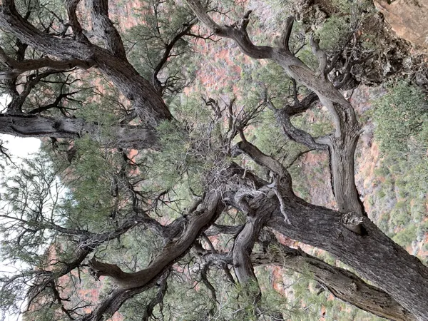 Zion National Park photo 408