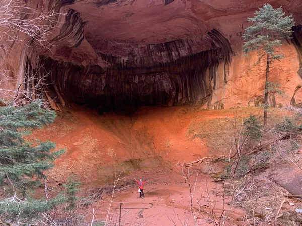 Zion National Park photo 417