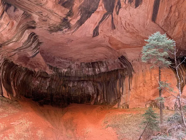 Zion National Park photo 418