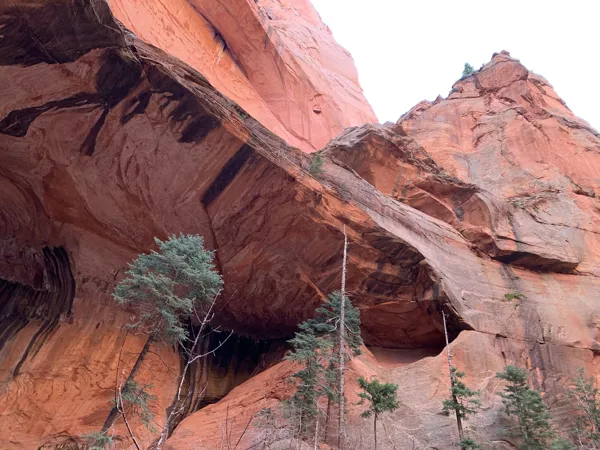 Zion National Park photo 419