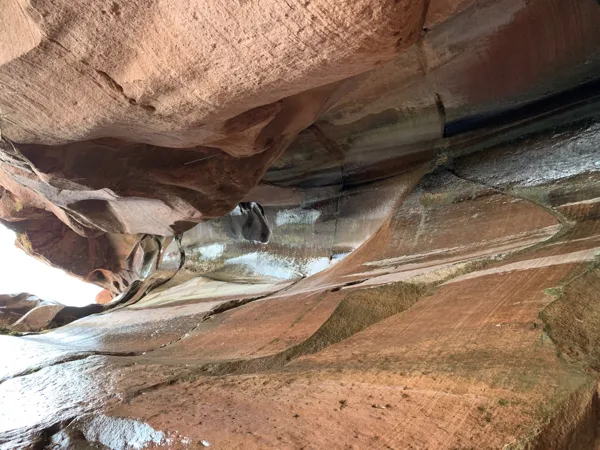 Zion National Park photo 420