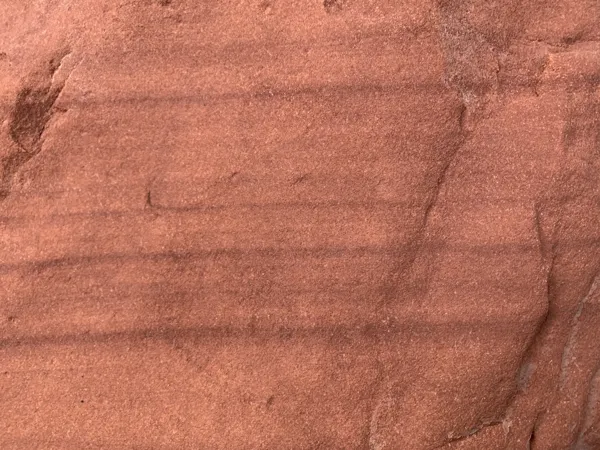 Zion National Park photo 421