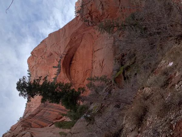 Zion National Park photo 422