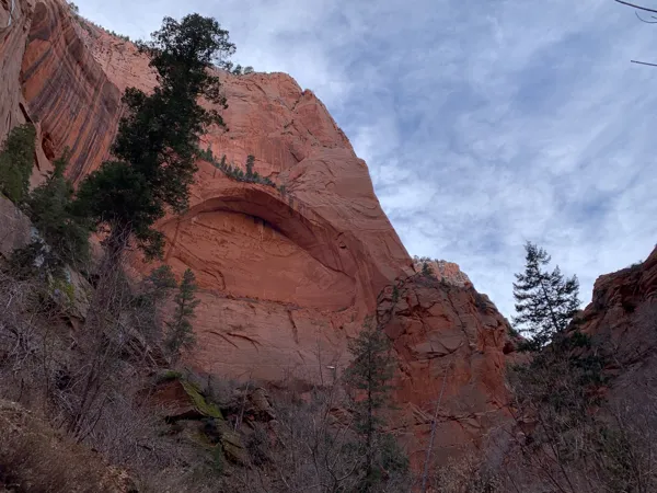 Zion National Park photo 423