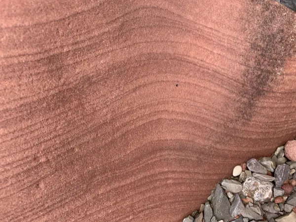 Zion National Park photo 424