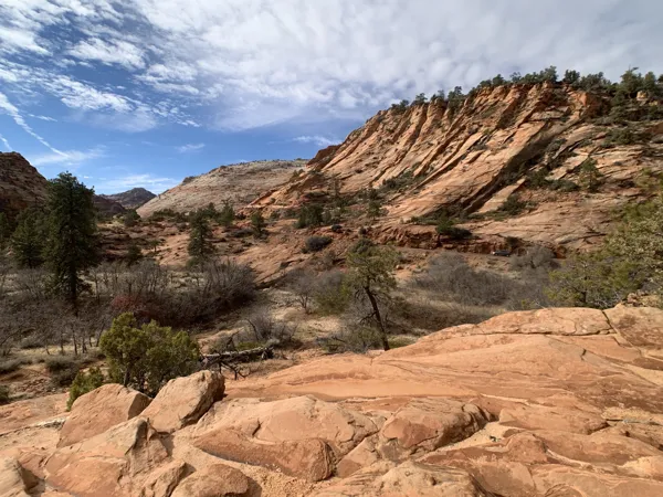 Zion National Park photo 428