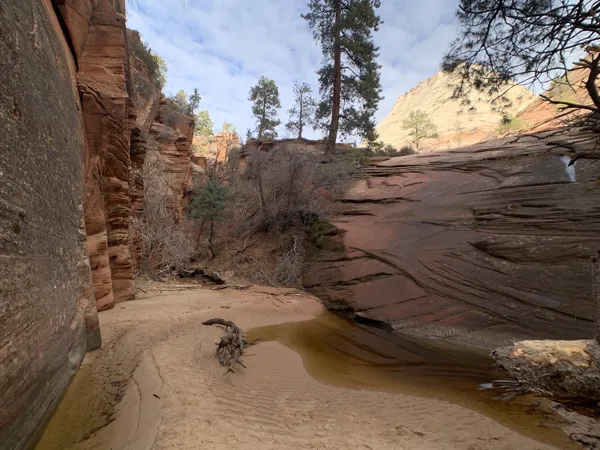 Zion National Park photo 436