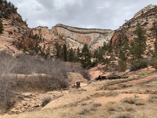Zion National Park photo 438