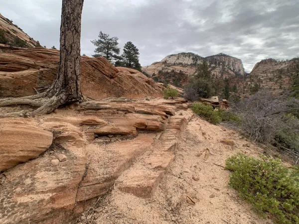 Zion National Park photo 439