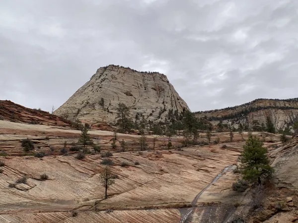 Zion National Park photo 440
