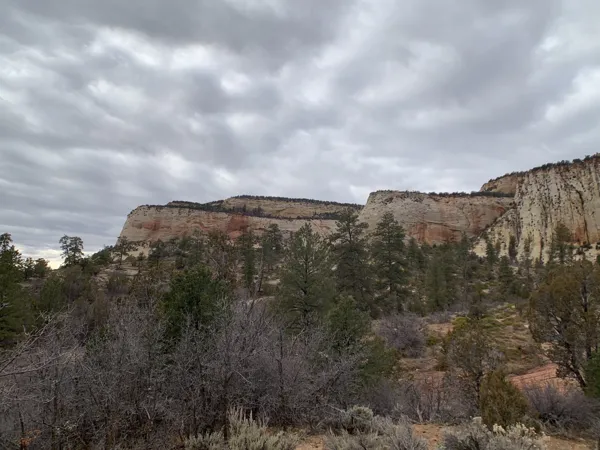 Zion National Park photo 441