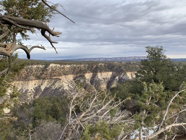 Zion National Park photo 442