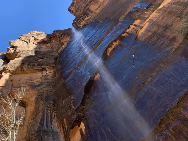 Zion National Park photo 448