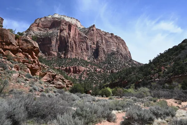 Zion National Park photo 450
