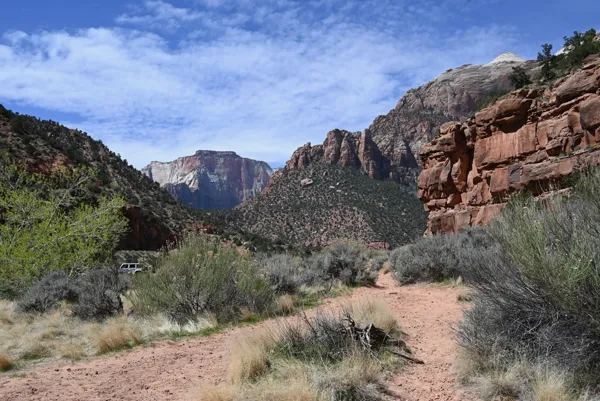 Zion National Park photo 451