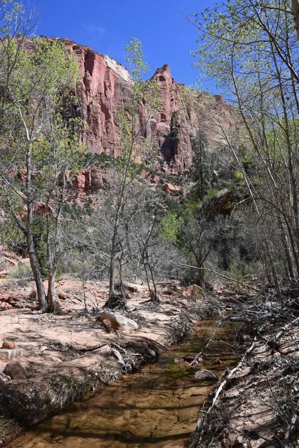 Zion National Park photo 452