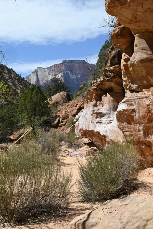 Zion National Park photo 453