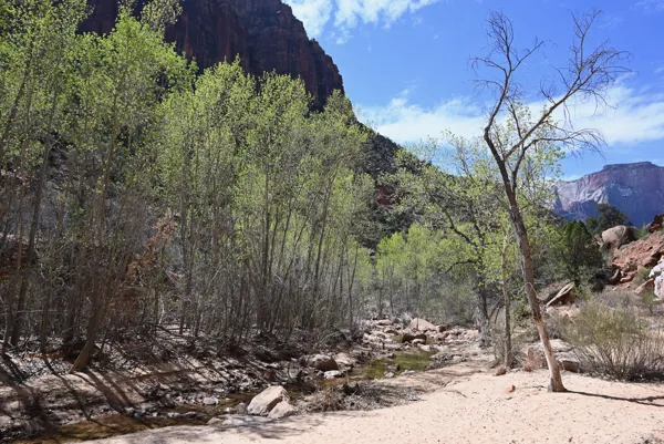 Zion National Park photo 456