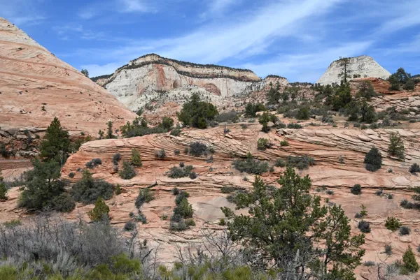 Zion National Park photo 459