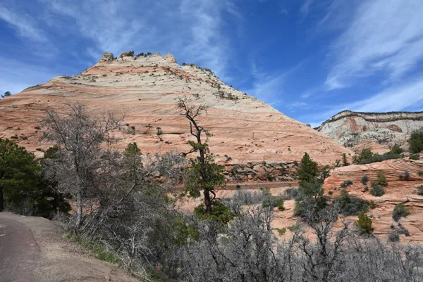 Zion National Park photo 460