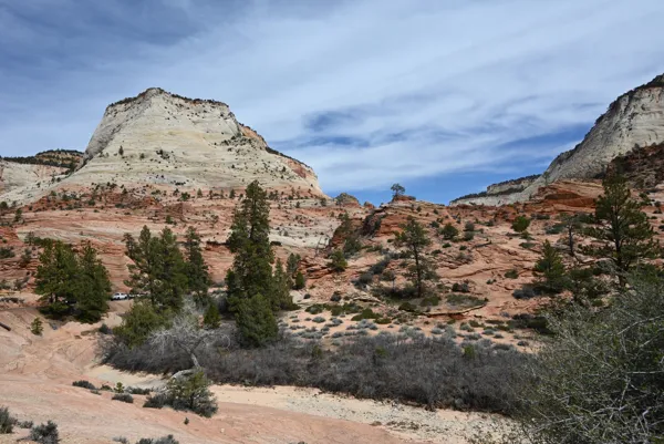 Zion National Park photo 461