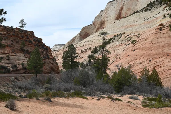 Zion National Park photo 462