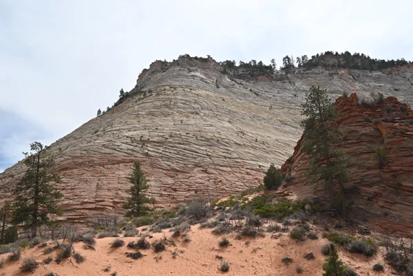 Zion National Park photo 463