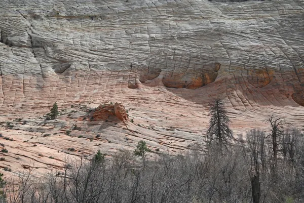 Zion National Park photo 464