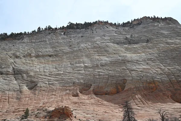 Zion National Park photo 465