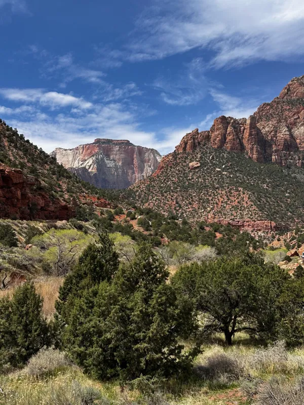 Zion National Park photo 468