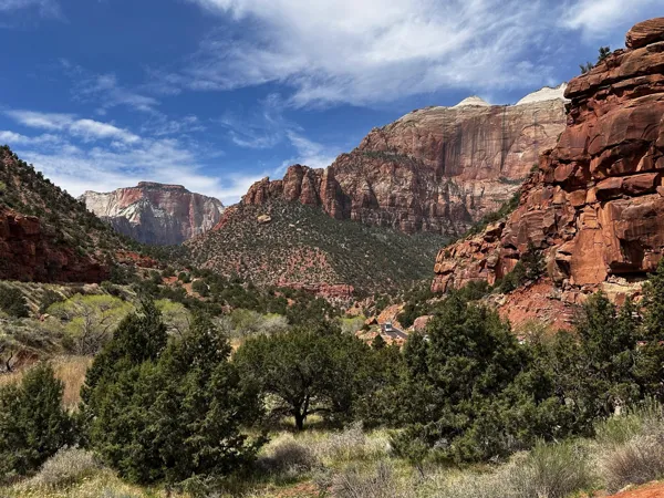 Zion National Park photo 469