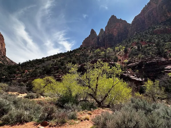 Zion National Park photo 470