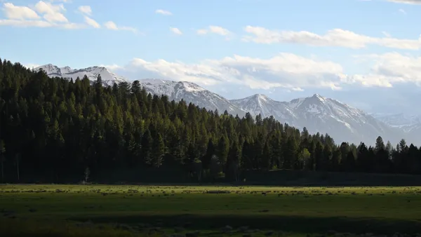 Grand Teton National Park photo 10