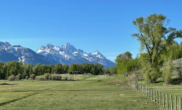 Grand Teton National Park photo 14