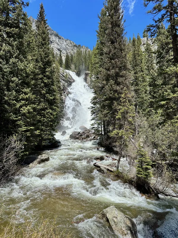 Grand Teton National Park photo 22
