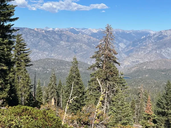Kings Canyon National Park photo 1