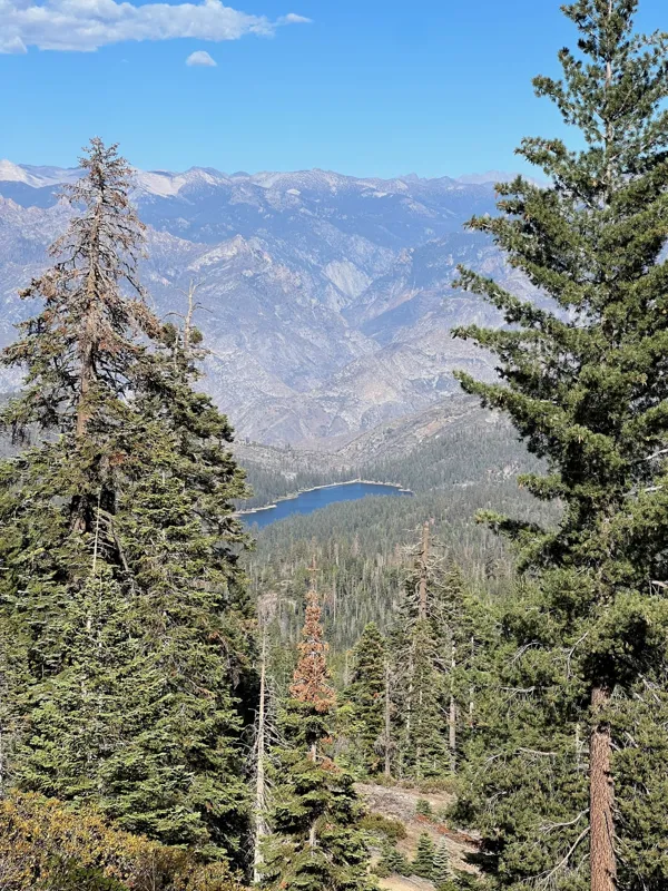 Kings Canyon National Park photo 4