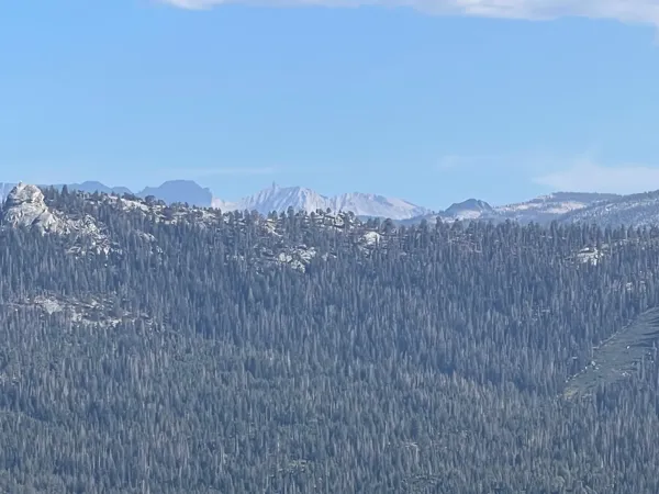 Kings Canyon National Park photo 7