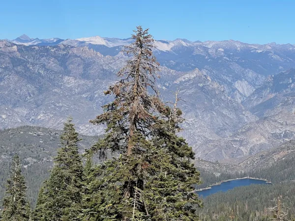 Kings Canyon National Park photo 8