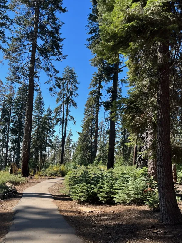 Kings Canyon National Park photo 11