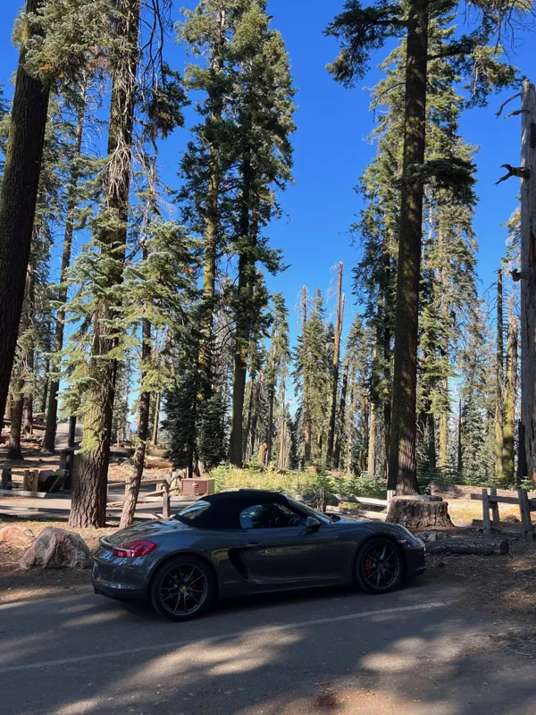 Kings Canyon National Park photo 13