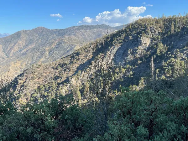 Kings Canyon National Park photo 15