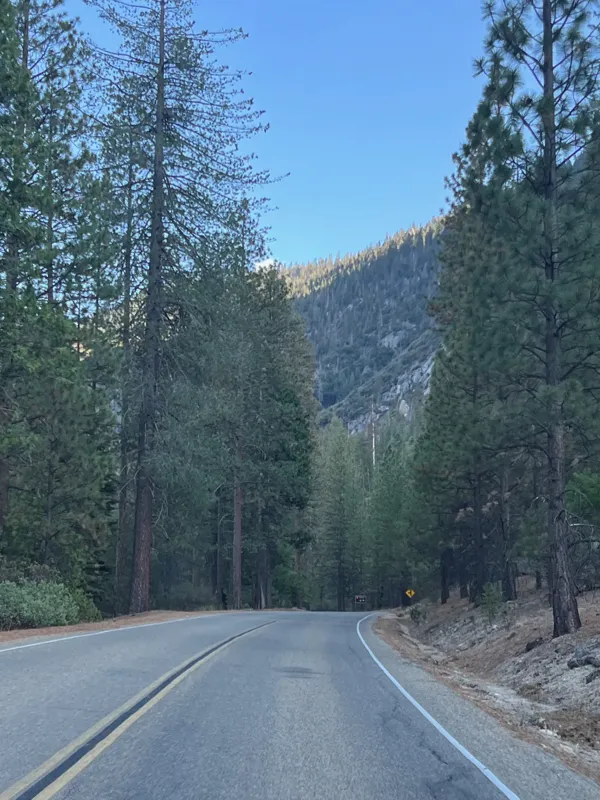 Kings Canyon National Park photo 33