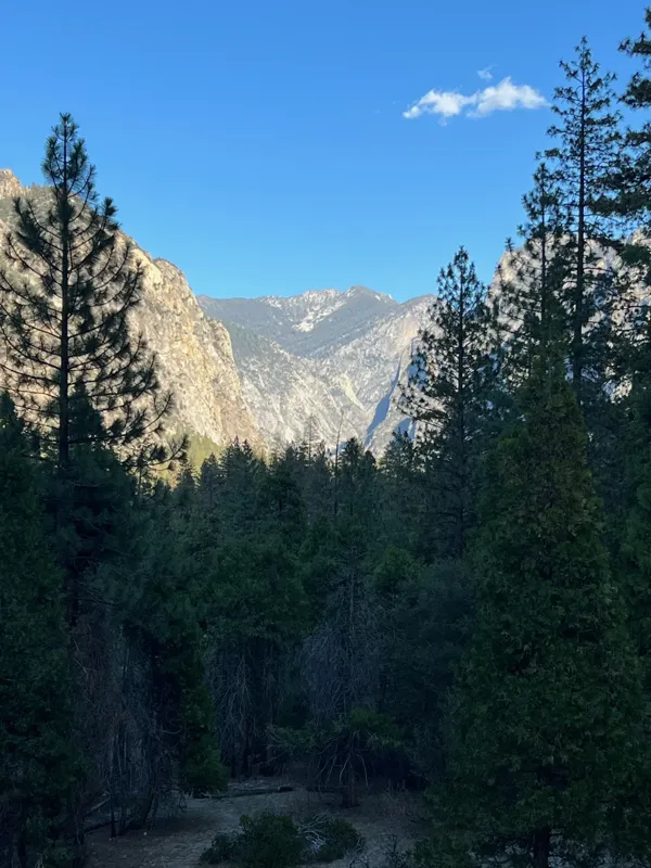 Kings Canyon National Park photo 34